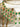 Roop AD Necklace Set from Inaury.com in gold and green