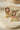 Jahanara Gold Plated Choker Necklace Set - Artisan crafted with cushion cut center stones, zircon rims, teardrop accents, 1.5" earrings, and a charming maang tikka.