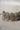 Detailed close-up of lavender beaded choker from Namar Necklace Set with ornate CZ stonework.