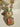 Monika Semi-Precious Gold Plated Mala Necklace Set - Multi-color stones with faux pearls and Moissanite Polki detailing, available with hot pink, light pink, or green center stones, and matching 2.6-inch statement earrings.