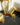 Gold moissanite polki mathapatti with ivory beading for Indian jewelry wear from Inaury