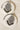 Esmeray Silver Earrings with black bead fringe and crystal accents, styled on marble for ethnic fashion appeal.